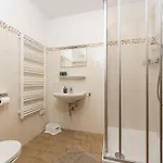 Apartment Austrian Alpine Ramsau am Dachstein