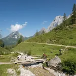 Austrian Alpine Apartment *