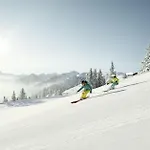 Austrian Alpine Apartment