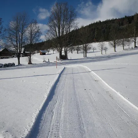 Apartament Austrian Alpine *