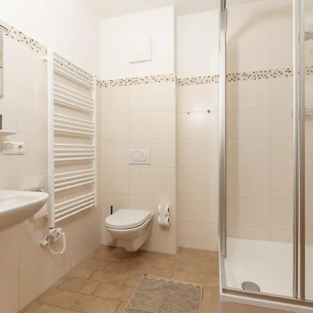 아파트 Austrian Alpine 람자우 암 다흐스타인