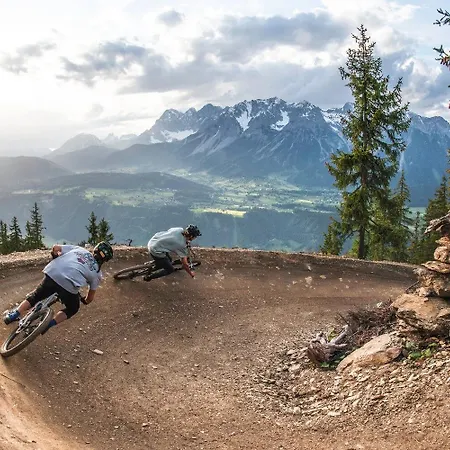 Austrian Alpine