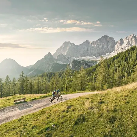 Austrian Alpine Lejlighed Ramsau am Dachstein