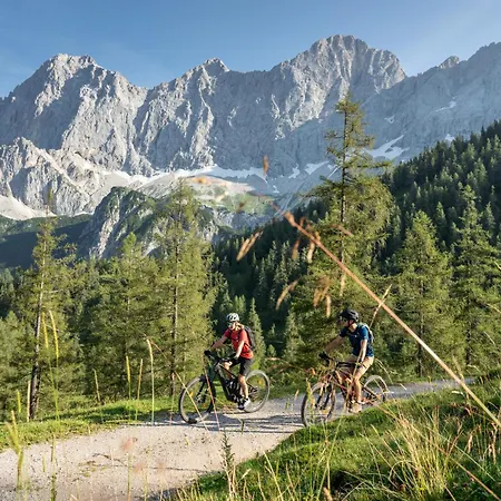 Austrian Alpine Apartamento *