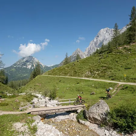 Austrian Alpine Апартаменты *