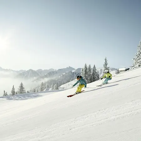 Austrian Alpine Lejlighed