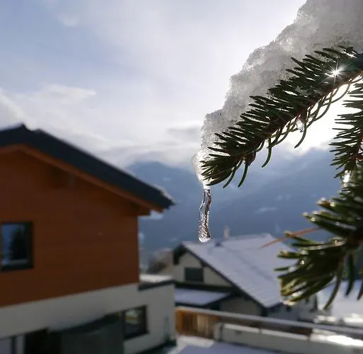 Austrian Alpine Apartament