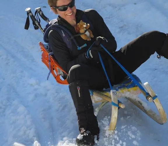 Austrian Alpine Appartamento *