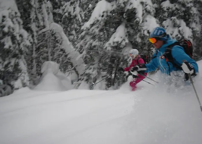 Austrian Alpine Apartament