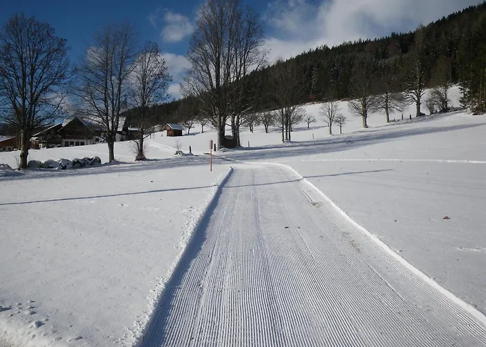 Apartament Austrian Alpine *