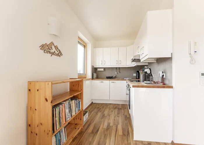 Austrian Alpine 아파트 람자우 암 다흐스타인