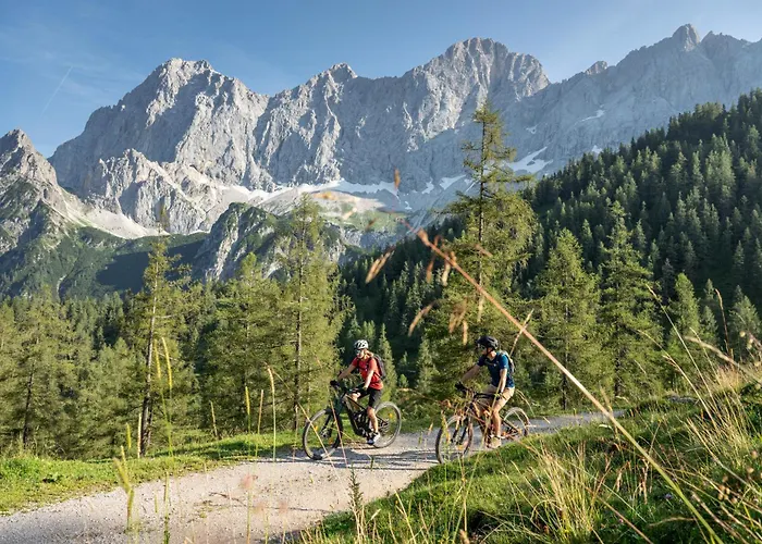 Austrian Alpine 아파트 *