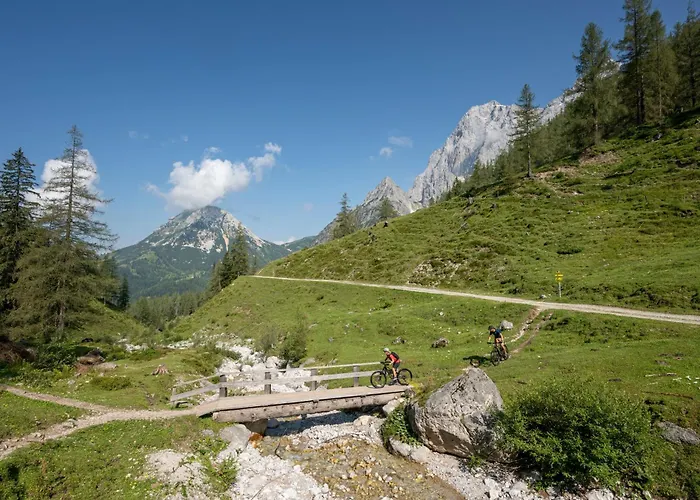 Austrian Alpine 아파트 *