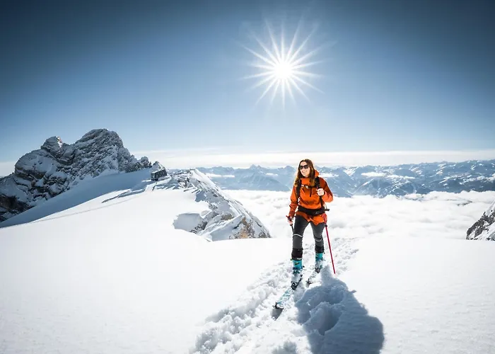 Austrian Alpine 아파트