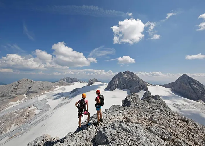 Austrian Alpine 아파트 *
