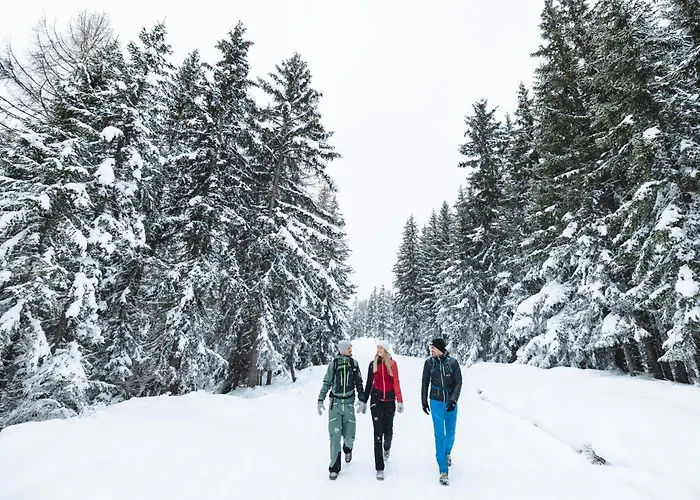 Austrian Alpine 아파트 *